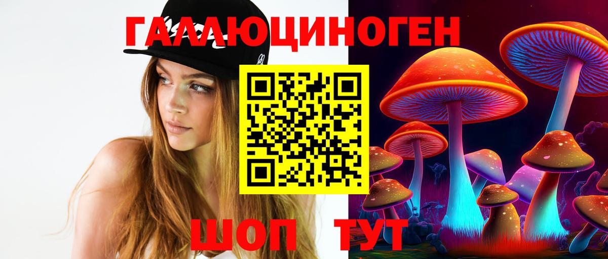 Псилоцибиновые грибы Psilocybe Камышлов