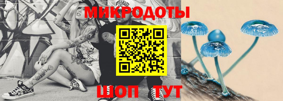 Галлюциногенные грибы ЛСД  Вход с VPN  Камышлов  Галлюциногенные грибы мухоморы 